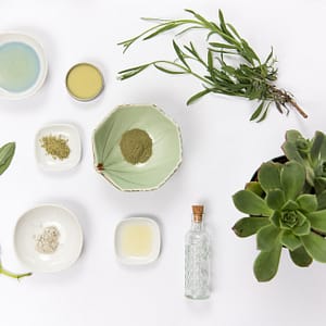 nature par les plantes